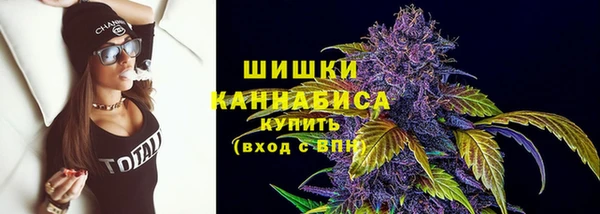 индика Верхнеуральск