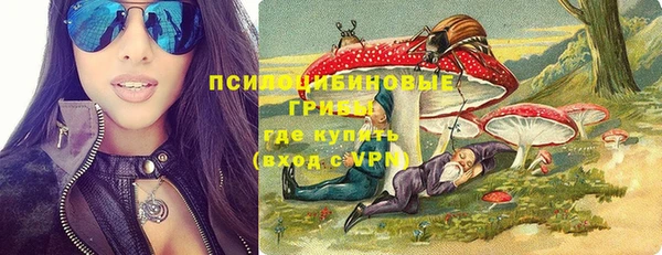 твердый Верхний Тагил