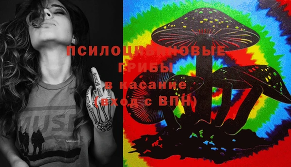 твердый Верхний Тагил