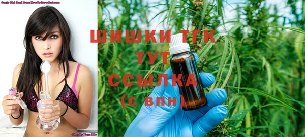 индика Верхнеуральск