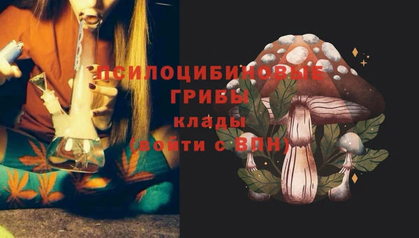 твердый Верхний Тагил