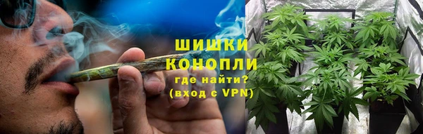 гашик Дмитровск