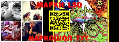 Альфа ПВП Шебекино