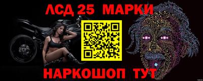 Альфа ПВП Шебекино